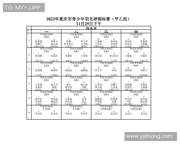 重庆羽毛球队防反策略分析与比赛表现评估